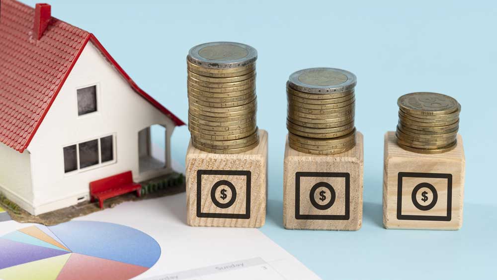 Asset Management & Investissement Immobilier